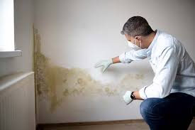 Mold Remediation for Vacation Homes in Charleston, SC